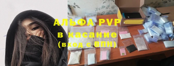 гашик Алексеевка