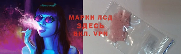 гашик Алексеевка