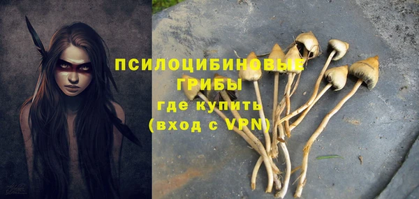 гашик Алексеевка