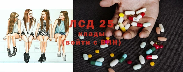 гашик Алексеевка
