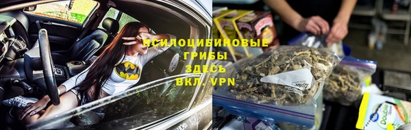 гашик Алексеевка