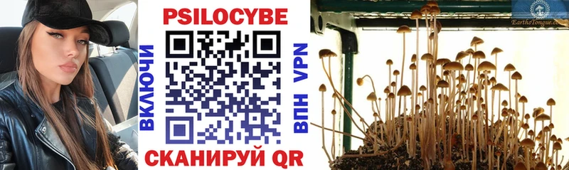 цены   Кропоткин  Псилоцибиновые грибы Psilocybe 